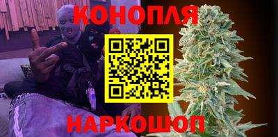 сатива Ирбит