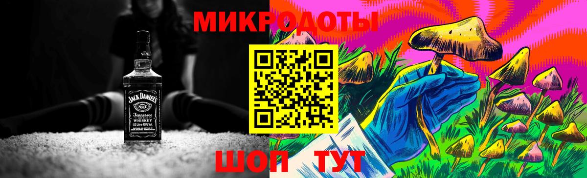 Ликино-Дулёво  Псилоцибиновые грибы Psilocybe  Вход с VPN 